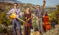 Hot Club of Cowtown - Anaconda Live Hot Club of Cowtown - Anaconda Live