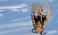 Snowshoe Hike Snowshoe Hike