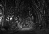 Winners Take Black-and-White Photography To Next Level Winners Take Black-and-White Photography To Next Level