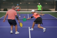 FREE PICKLEBALL PARTY FREE PICKLEBALL PARTY