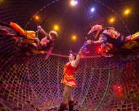 Jordan World Circus & Al Kaly Shrine Circus Jordan World Circus & Al Kaly Shrine Circus
