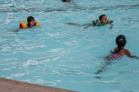 Mitchell Park Pool FREE day! Mitchell Park Pool FREE day!