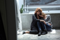 The Meddler The Meddler