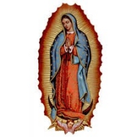 Serenata Guadalupana Serenata Guadalupana