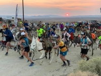Run With The Burros Run With The Burros
