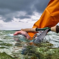 Flyfisher Meeting Flyfisher Meeting