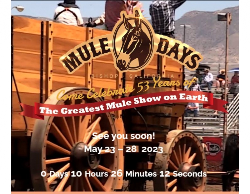 Mule Days 2023 05/24/2023 , Tri County Fairgrounds Special