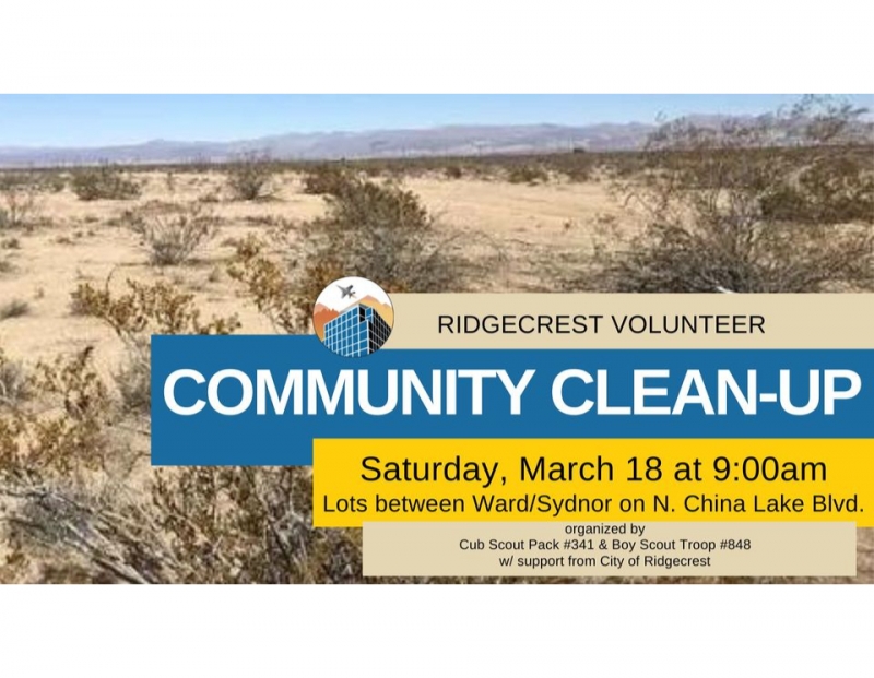 Volunteer Community Clean-Up