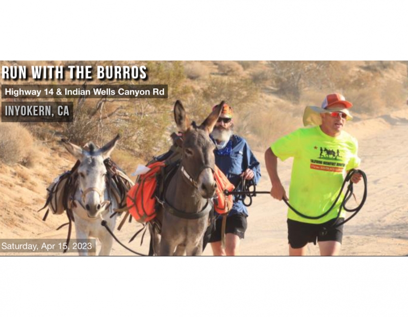 Run With The Burros
