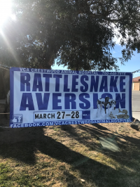 Canine Rattlesnake Aversion Training Canine Rattlesnake Aversion Training