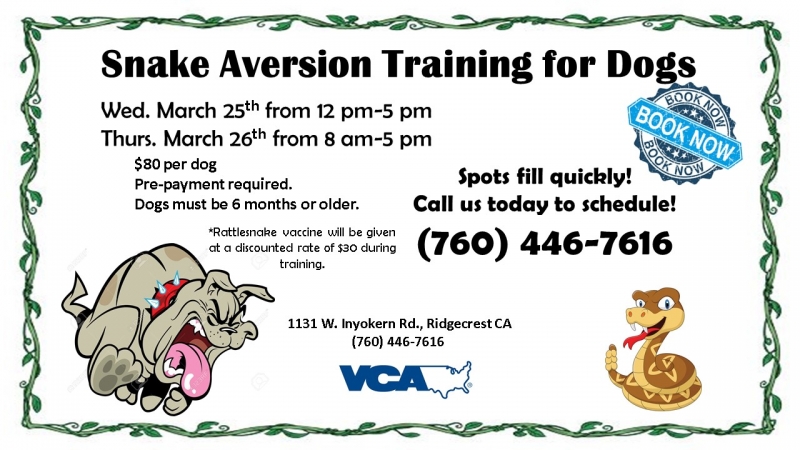 Rattlesnake Aversion Training 03/25/2020 Ridgecrest, , VCA Crestwood