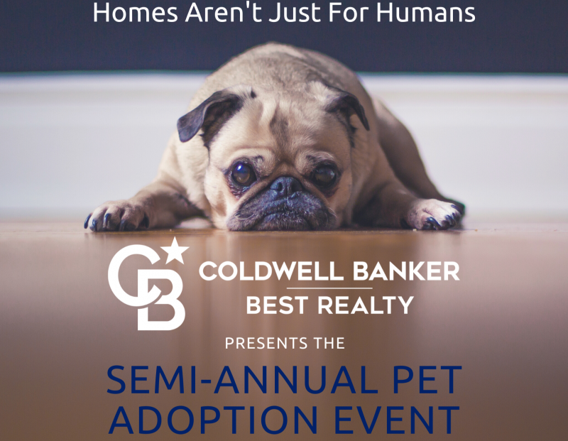 SemiAnnual Pet Adoption Event 10/14/2022 Ridgecrest, , Coldwell Banker