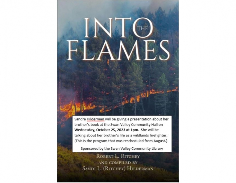 Into the Flames presentation