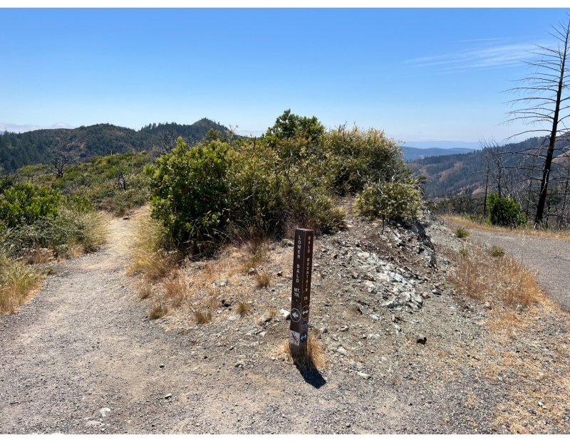 Fire & Landscapes Walk (CA State Parks Week) Fire & Landscapes Walk (CA State Parks Week)