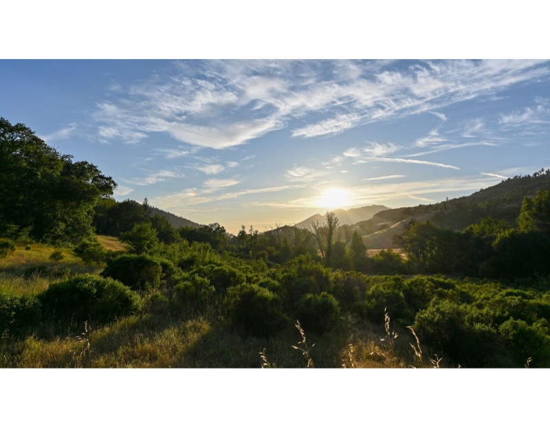 Gentle Evening Yoga Hike Gentle Evening Yoga Hike