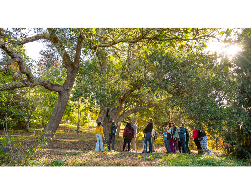 Spring Melodies: Nature-Inspired Guided Meditation Hike Spring Melodies: Nature-Inspired Guided Meditation Hike
