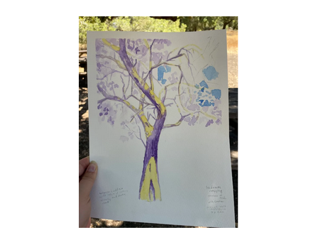 Plein Air Sketching/MultiMedia-Jack London State Park Plein Air Sketching/MultiMedia-Jack London State Park