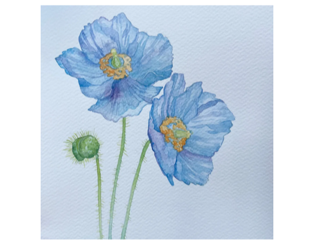 Painting: Flora and Fauna in Watercolor – August Painting: Flora and Fauna in Watercolor – August
