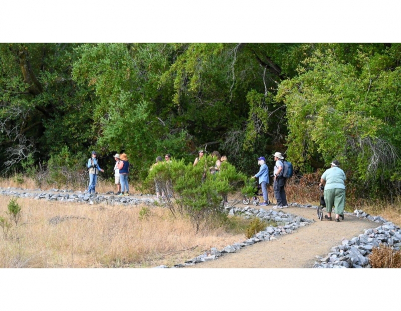 Slow Journeys (CA State Parks Week) Slow Journeys (CA State Parks Week)