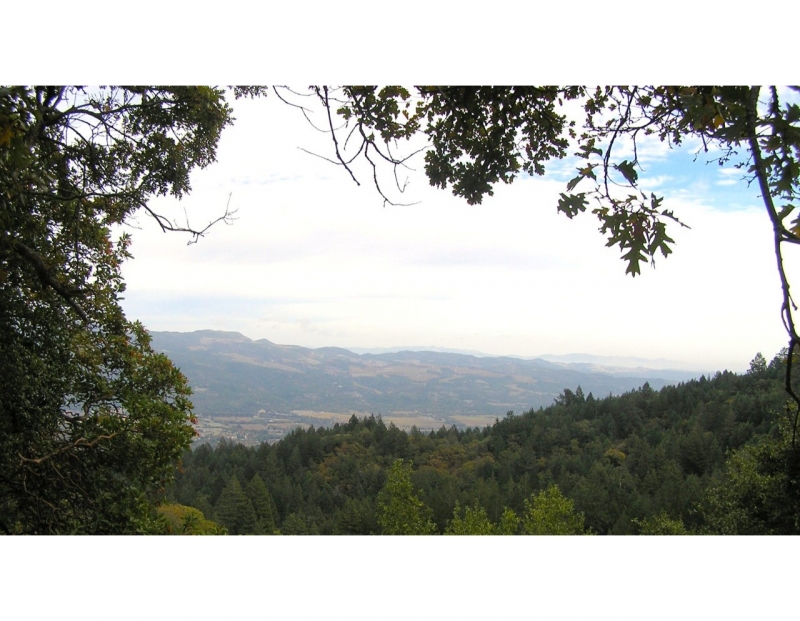 Summit Saturday at Jack London SHP Summit Saturday at Jack London SHP
