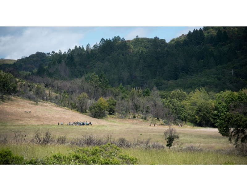 Habitat Hike: Grasslands Habitat Hike: Grasslands