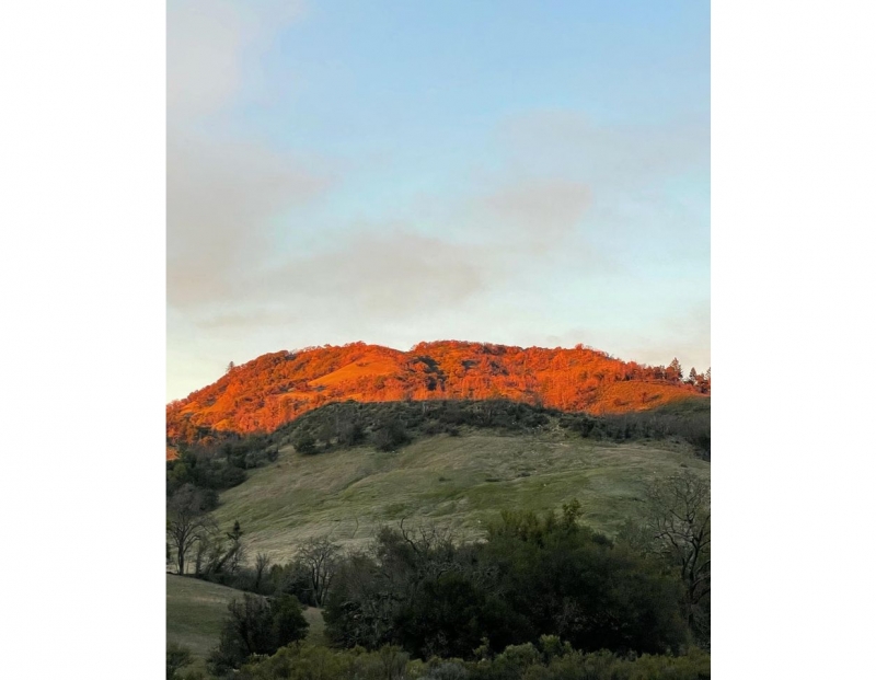 Sugarloaf Fire: Recovery and Renewal 