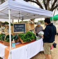 Downtown Mesa Farmers Market Downtown Mesa Farmers Market