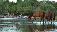 FRIDAY NIGHT HAPPY HOUR PADDLE SERIES FRIDAY NIGHT HAPPY HOUR PADDLE SERIES